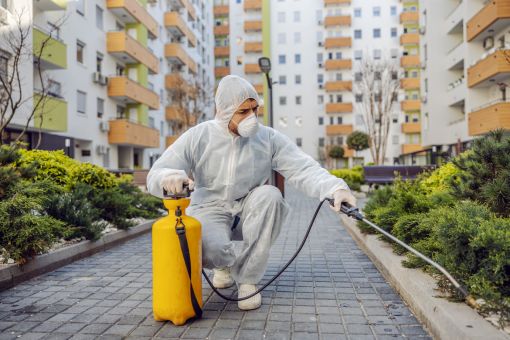 Dedetização no Jardim Botânico - Ligue agora (21) 98796-8690